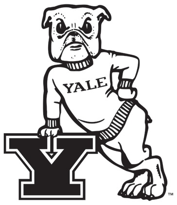 Yale Bulldogs 1972-1997 Primary Logo iron on transfers for clothing